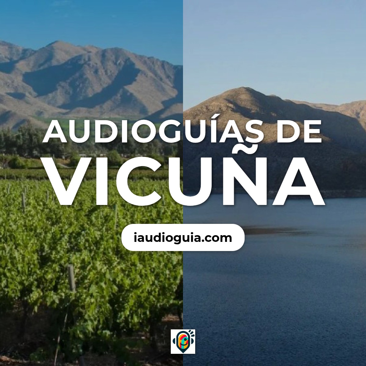 Vicuña