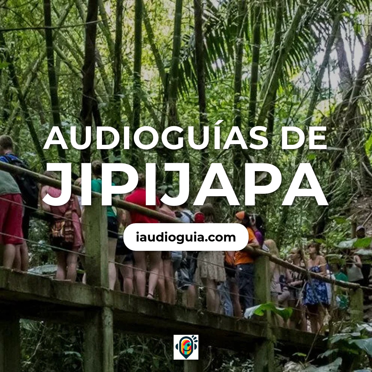 Jipijapa