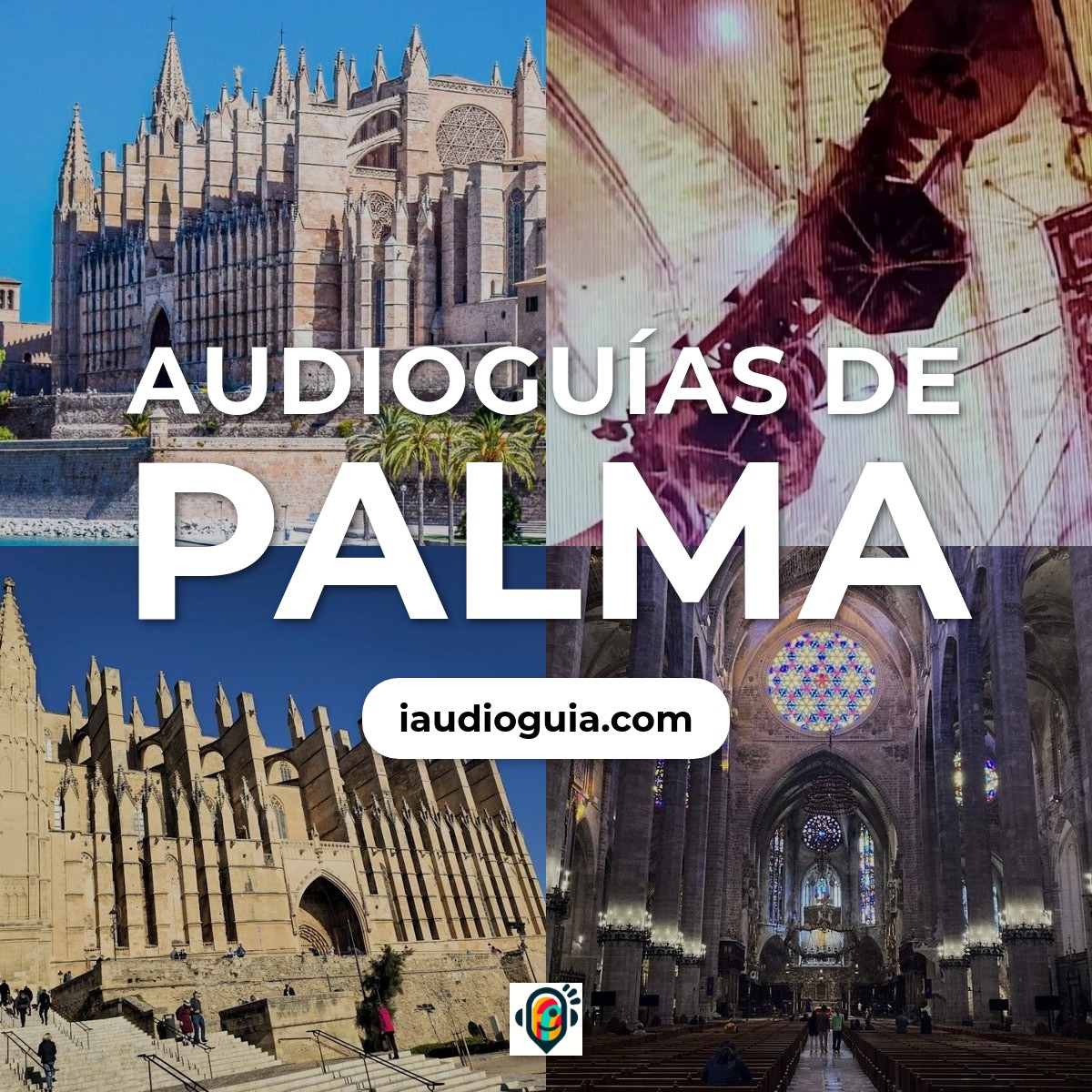 Palma