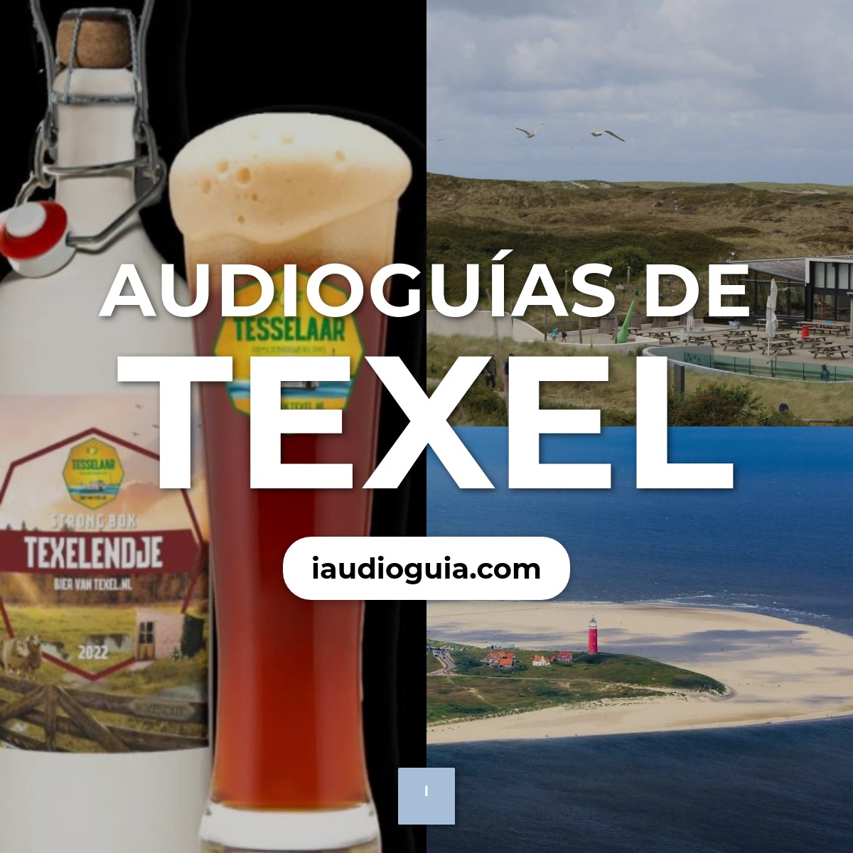 Texel
