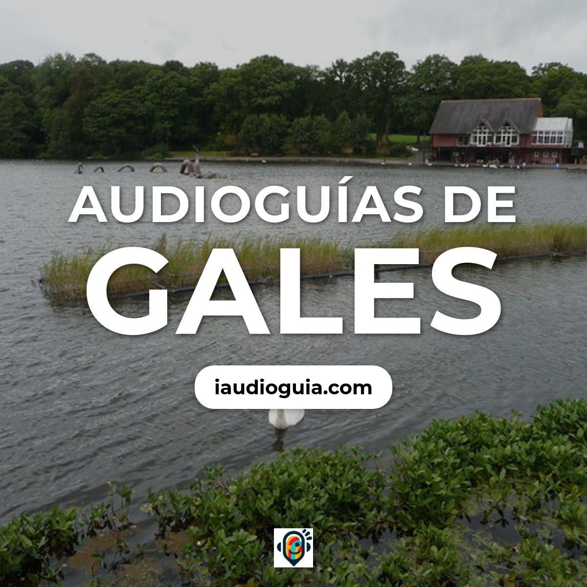 Gales